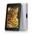 tablet2